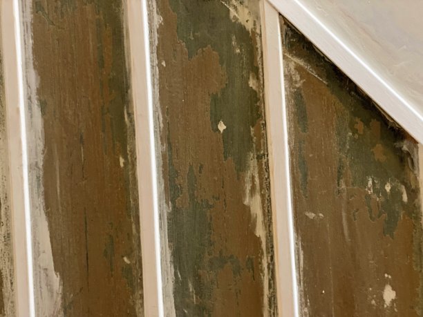 入口改造图片下载