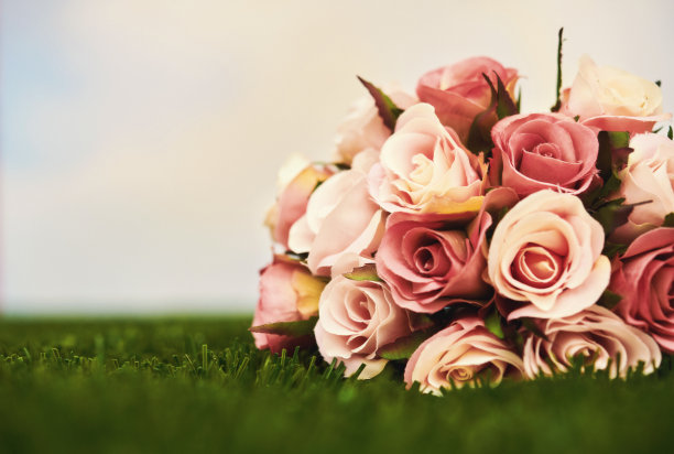 玫瑰花束在草与天空背景和空间的文本图片下载