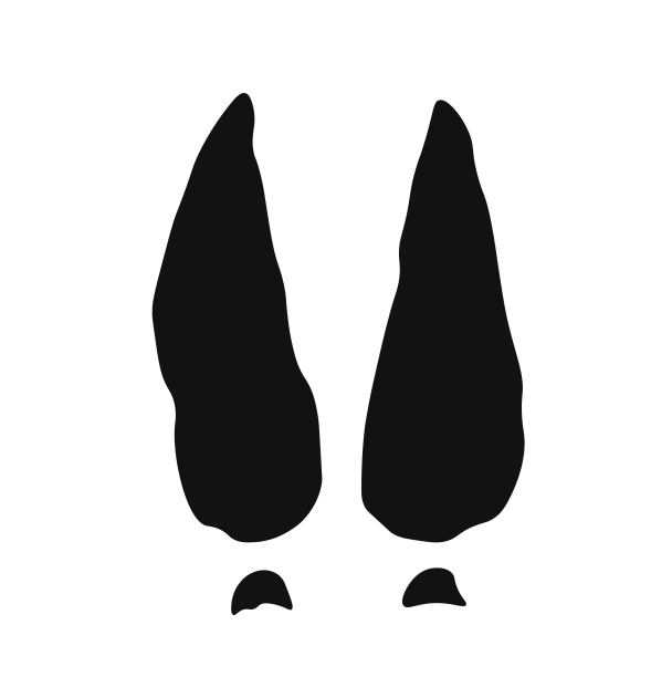 鹿的脚印图片下载