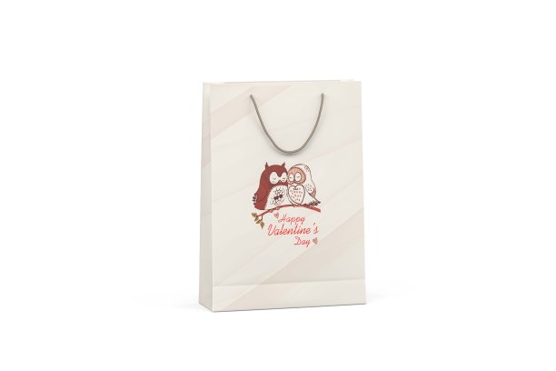 情人节手袋的白色背景图片下载