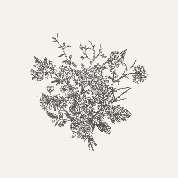 春天的花。束与分支。图片下载