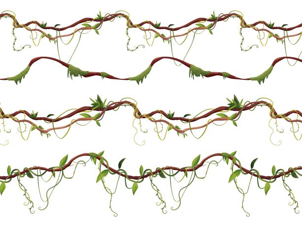 无缝藤条或藤条模式的2d游戏。丛林热带攀缘植物。卡通矢量插图。图片下载