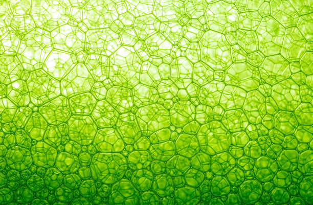 近距离的绿色泡沫，泡沫，DNA，滴，液体，药品，泡沫泡沫从肥皂或洗发水清洗，波兰，生物化学，生物技术，实验室，水图片下载