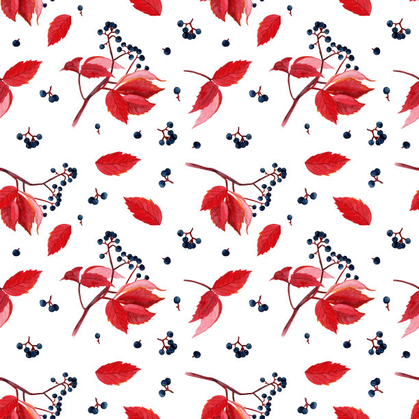 野生葡萄。水彩无缝模式。布料、墙纸、明信片、请柬、剪贴簿用纸的设计。图片下载