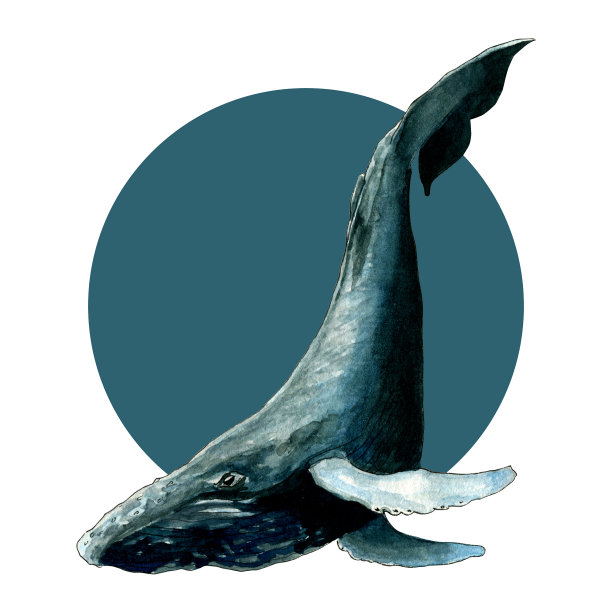 抽象颜料上的水彩鲸鱼。素描风格。设计明信片，印在包或t恤上。图片下载