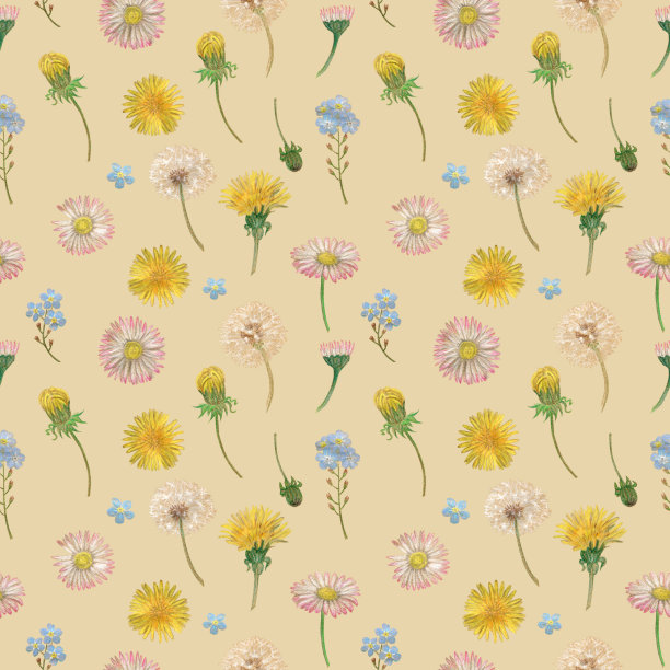 春花无缝图案。用彩色铅笔手绘。布料、墙纸、明信片、请柬、剪贴簿用纸的设计。图片下载