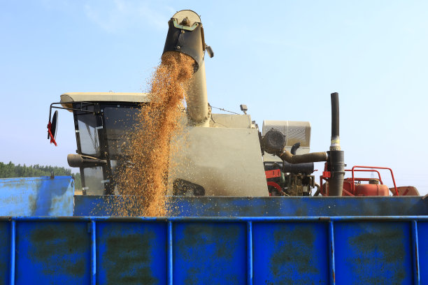 收割机在晚上收割小麦图片下载