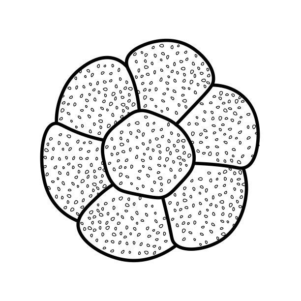 时尚的向量设计的面包店或咖啡馆。包装、标识、标签或标牌上的插图。为横幅，传单或菜单的食物的线形插图图片下载