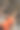 美丽的运动年轻女子在自拍。图片下载