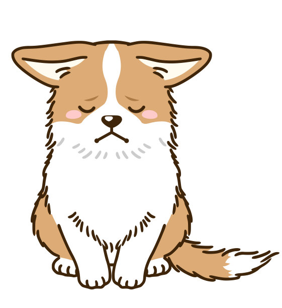 悲伤的柯基犬(红白相间)图片下载