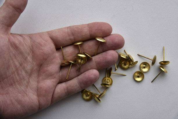 用于家具修理的金钮扣钉图片下载