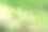 薰衣草花在自然草地的背景。图片下载