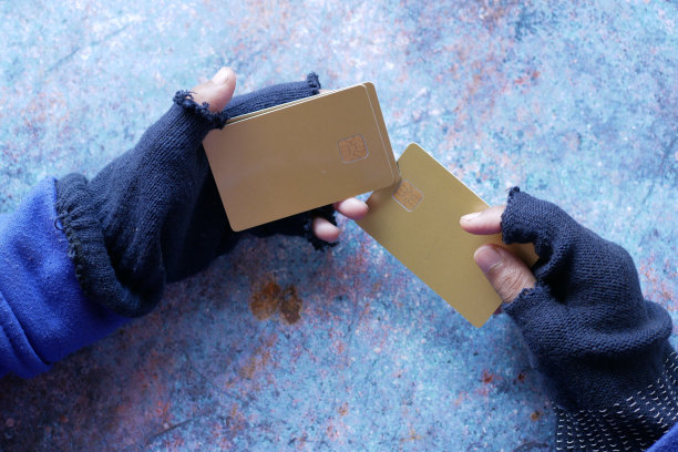 黑客从信用卡中窃取数据图片下载