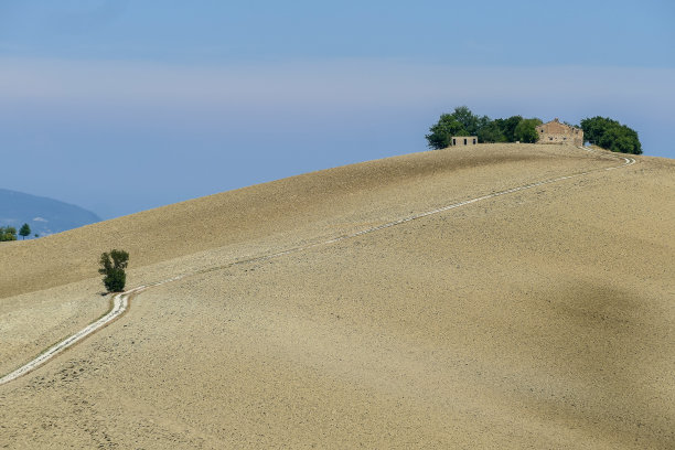 沙漠中的道路，数码照片的图片作为背景图片下载