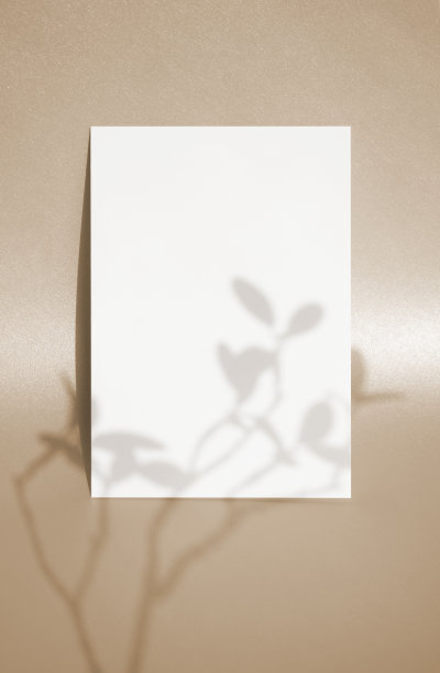 一张空卡在闪亮的背景模型图片下载