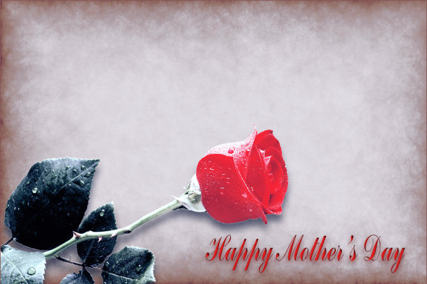 母亲节快乐的背景与玫瑰。图片下载