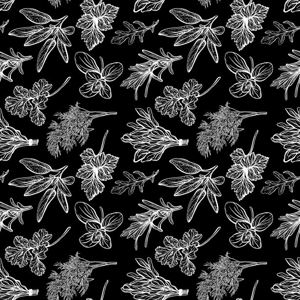 意大利草药无缝图案。普罗旺斯调味品和香草口味图片下载