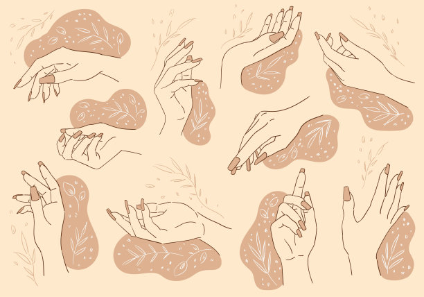 女人的手。图片下载