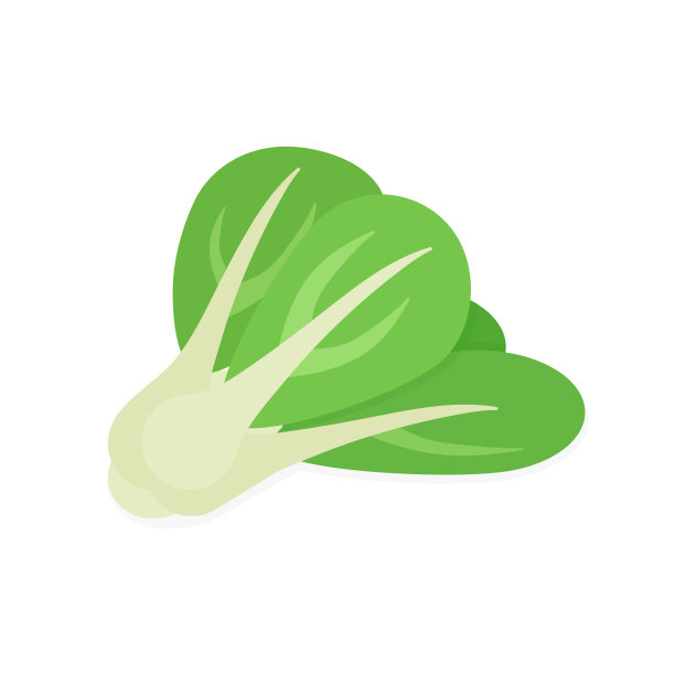 白菜，白菜，白菜，蔬菜，白菜-平面设计中的等距矢量插图。图片下载