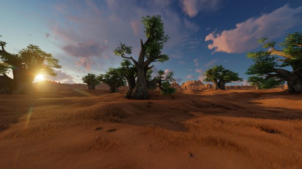 日落时分非洲风景中的猴面包树图片下载