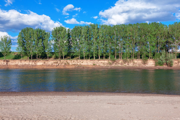 河滨沿途有树的图片下载