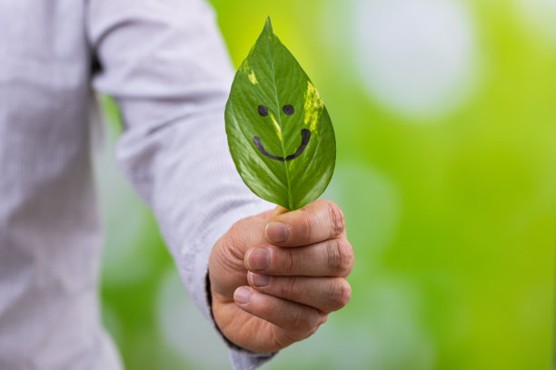 商人手中拿着一片绿叶，脸上挂着灿烂的笑容，自然的背景，绿色的模糊，创意、工作、商业和个人的发展理念与自然和谐相处图片下载