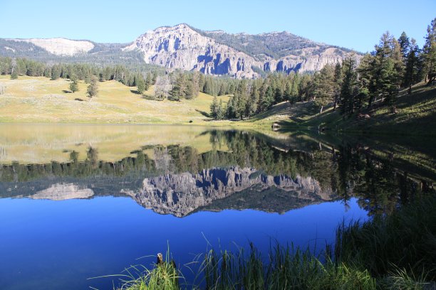 夏天的山映在鳟鱼湖上图片下载