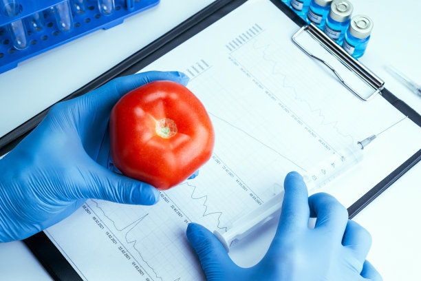 转基因生物。转基因科学家将液体从注射器注入红番茄。转基因食品生物技术概念。图片下载