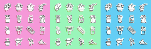 设置线断罐仙人掌仙人掌在植物上图片下载