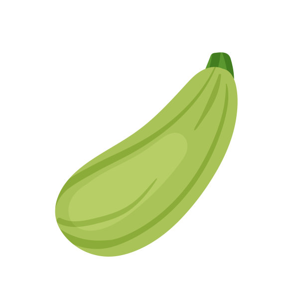 西葫芦蔬菜是新鲜蔬菜产品，有机农家菜，为素食者健康饮食图片下载