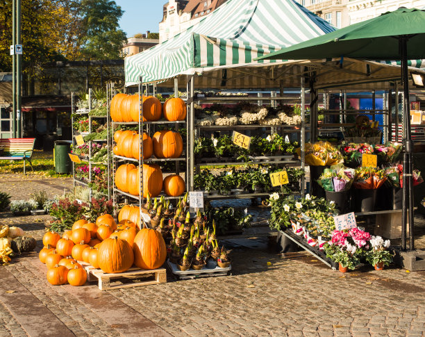 市场上的南瓜图片下载