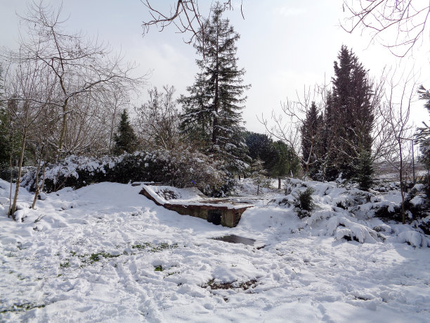 冬天的场景图片下载