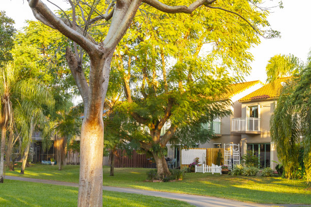 美国佛罗里达州迈阿密的现代中产阶级社区建筑图片下载
