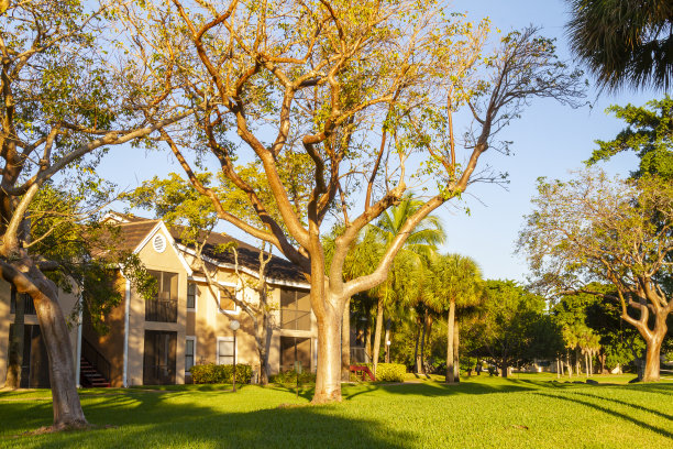 美国佛罗里达州迈阿密的现代中产阶级社区建筑图片下载
