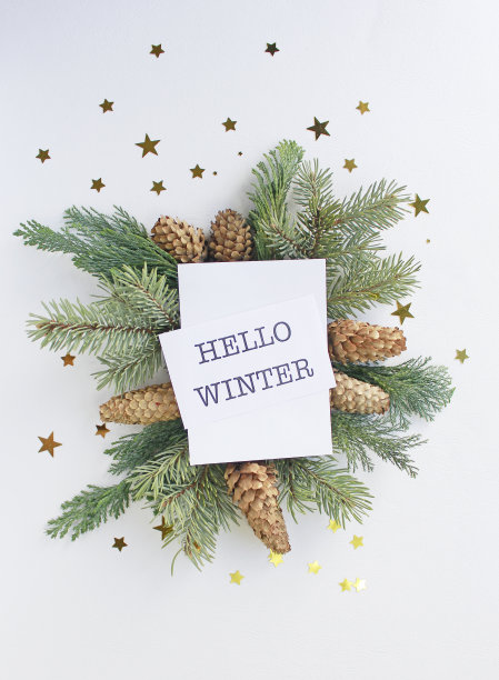 你好冬季贺卡，冷杉树枝，圆锥体和节日装饰在白色的背景，平躺图片下载