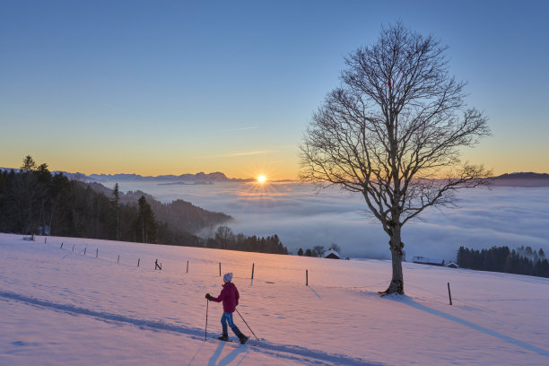 在奥地利布雷根茨瓦尔德，日落时穿着雪鞋的女人图片下载