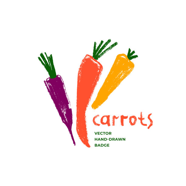 矢量胡萝卜图标孤立。纹理手绘胡萝卜插图。图片下载