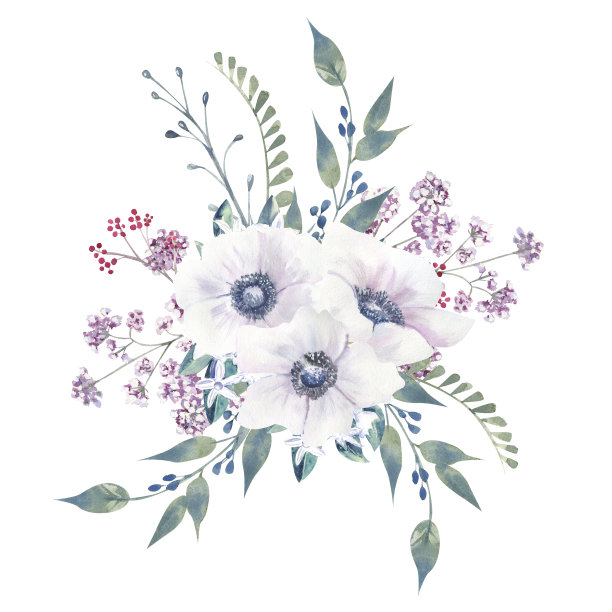 花束与紫色的玫瑰和银莲花在一个白色孤立的背景。手绘水彩插图图片下载