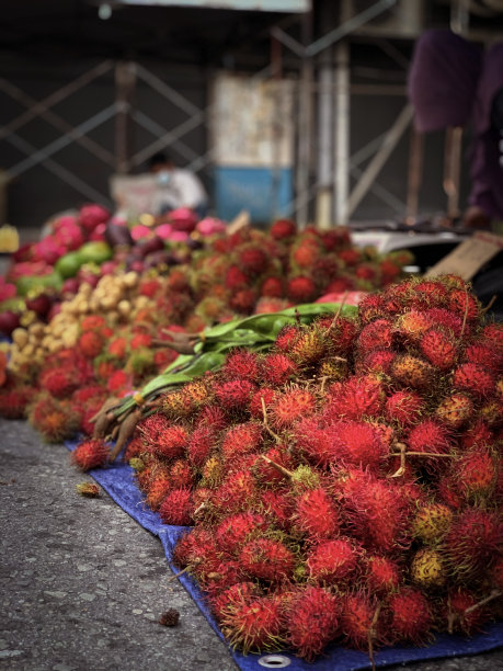 早市上五颜六色的热带水果图片下载