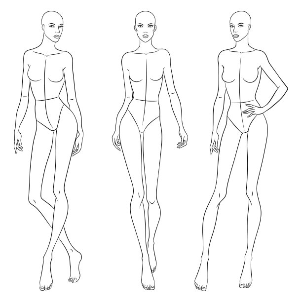 女性身体的模板图片下载