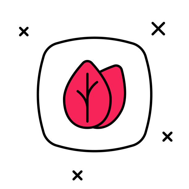 填充轮廓叶图标孤立在白色背景。叶子的迹象。清新自然的产品标志。向量图片下载