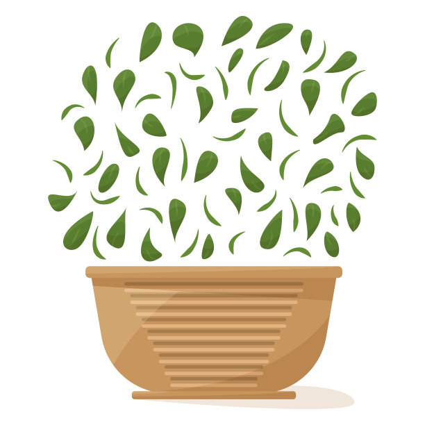 家庭及办公室盆栽。一种室内植物，树冠茂密，有许多小叶子。陶瓷花盆装饰。矢量图标，卡通，孤立图片下载
