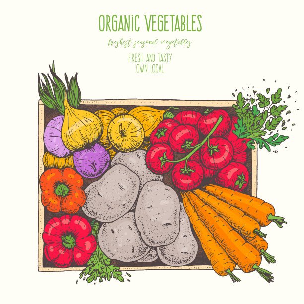 收获的蔬菜在盒子里。手绘矢量插图。雕刻风格。俯视图图片下载