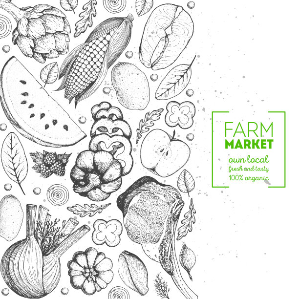 健康食品框架矢量插图。蔬菜、肉和鱼都是手绘的。有机产品。农贸市场食品收集图片下载