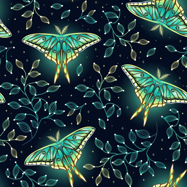 无缝图案与夜蝶和香草。图片下载
