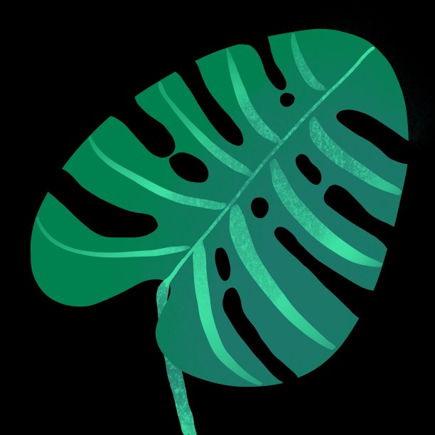 巨大的绿色叶片，孤立在黑色上图片下载