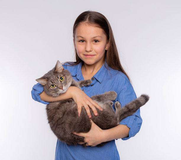 可爱的女孩抱着一只灰色的家猫。女孩在休闲衣服拥抱有趣的小猫孤立在白色的背景。图片下载