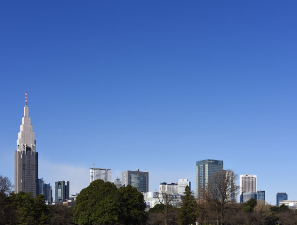 东京新宿办公室公园的天际线，在冬天的晴朗天空图片下载