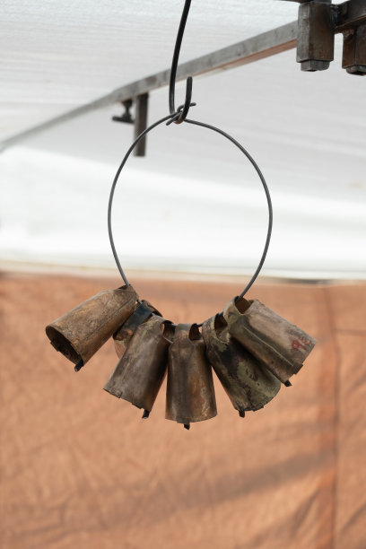 六个金属牛铃用来定位牛图片下载