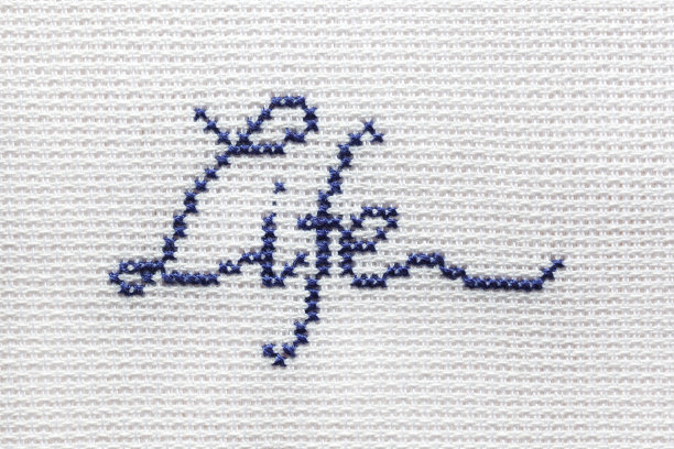 “生命”的题词用蓝线绣在白布上。图片下载